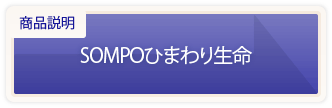 損保ジャパン日本興亜ひまわり生命